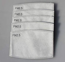 PM 2.5 Filter (Pack of 2 filters)