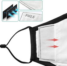 PM 2.5 Filter (Pack of 2 filters)