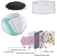 PM 2.5 Filter (Pack of 2 filters)