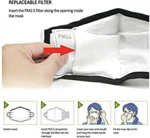 PM 2.5 Filter (Pack of 2 filters)