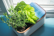 Water Generating Planter