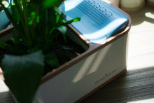 Water Generating Planter