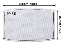 PM 2.5 Filter (Pack of 2 filters)