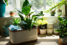 Water Generating Planter