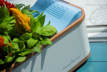 Water Generating Planter