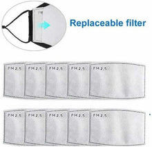 PM 2.5 Filter (Pack of 2 filters)